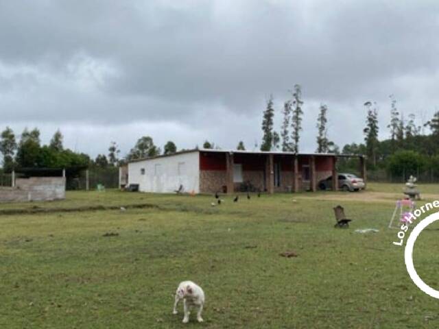 #57 - Casa para Venta en Suárez - UY-CA - 3